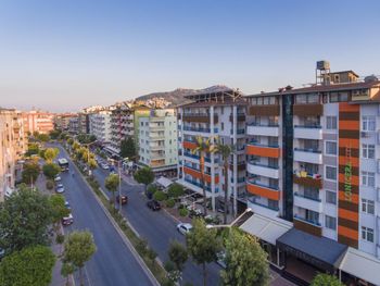 LONICERA CITY 3 *